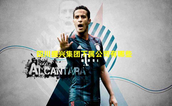 四川振兴集团下属公司有哪些