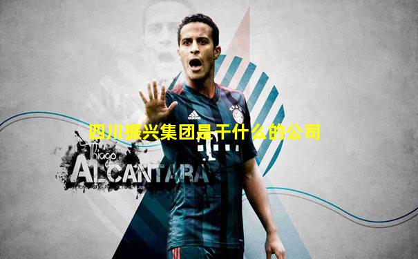 四川振兴集团是干什么的公司