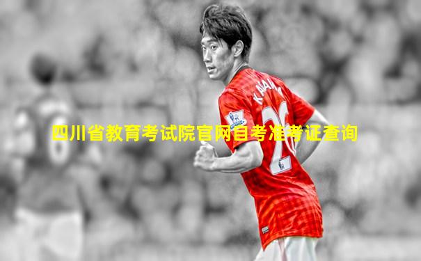 四川省教育考试院官网自考准考证查询