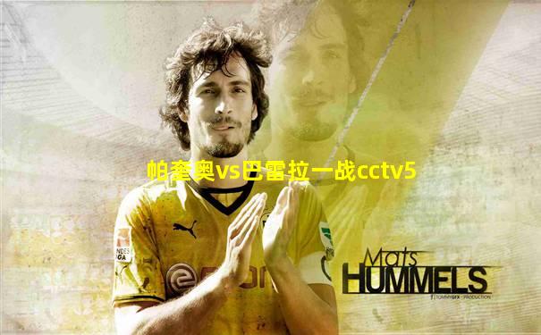 帕奎奥vs巴雷拉一战cctv5