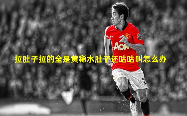 拉肚子拉的全是黄稀水肚子还咕咕叫怎么办