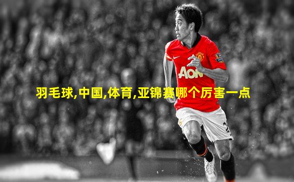 羽毛球,中国,体育,亚锦赛哪个厉害一点