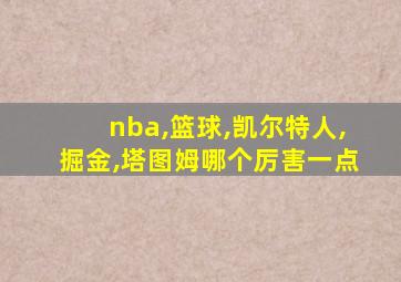 nba,篮球,凯尔特人,掘金,塔图姆哪个厉害一点