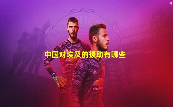 中国对埃及的援助有哪些