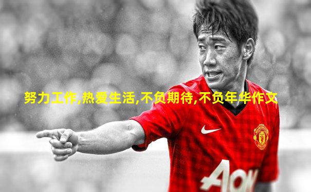 努力工作,热爱生活,不负期待,不负年华作文