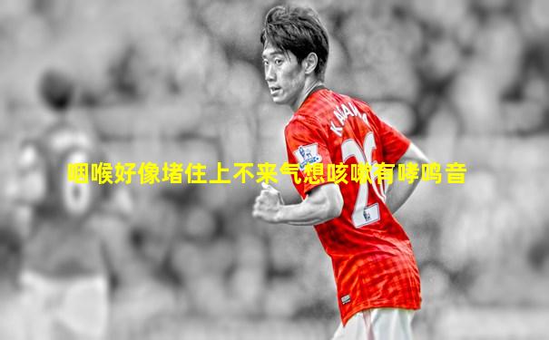 咽喉好像堵住上不来气想咳嗽有哮鸣音