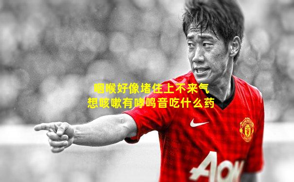 咽喉好像堵住上不来气想咳嗽有哮鸣音吃什么药