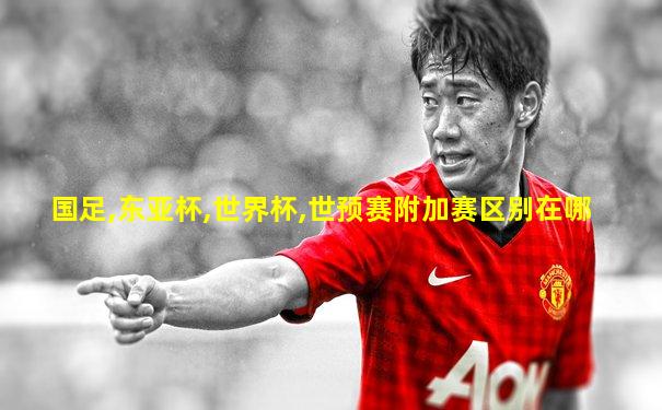 国足,东亚杯,世界杯,世预赛附加赛区别在哪