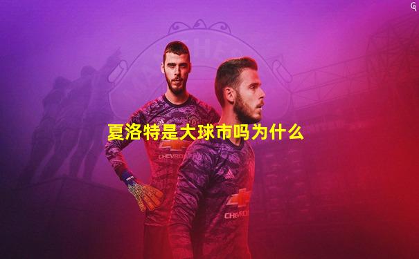 夏洛特是大球市吗为什么