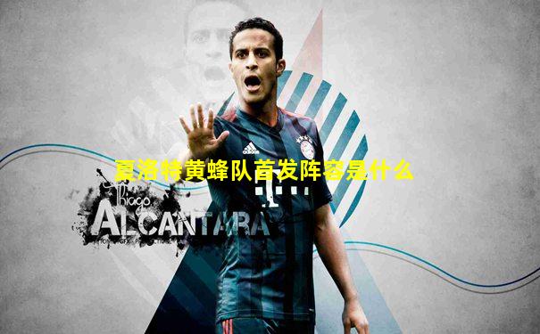 夏洛特黄蜂队首发阵容是什么