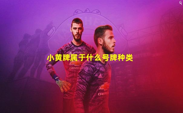 小黄牌属于什么号牌种类