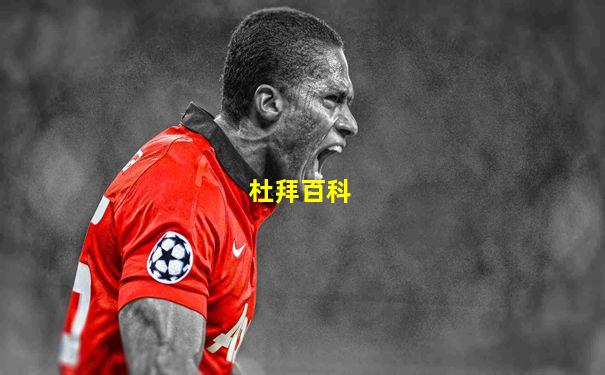 杜拜百科