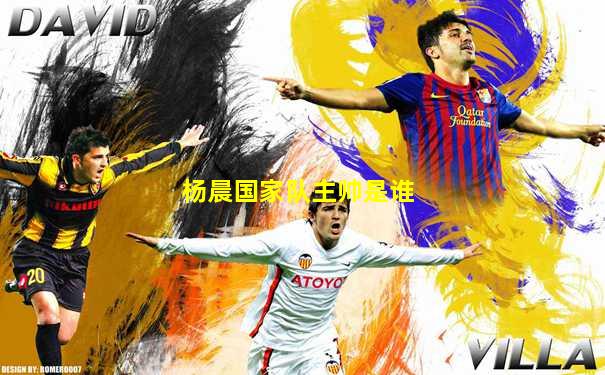 杨晨国家队主帅是谁