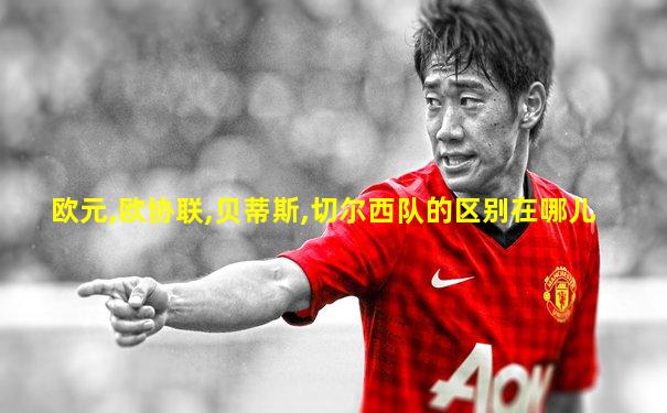 欧元,欧协联,贝蒂斯,切尔西队的区别在哪儿