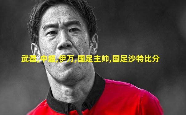 武磊,中超,伊万,国足主帅,国足沙特比分