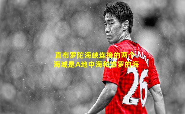 直布罗陀海峡连接的两个海域是A地中海和波罗的海