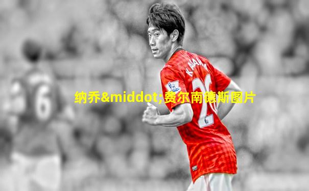 纳乔·费尔南德斯图片