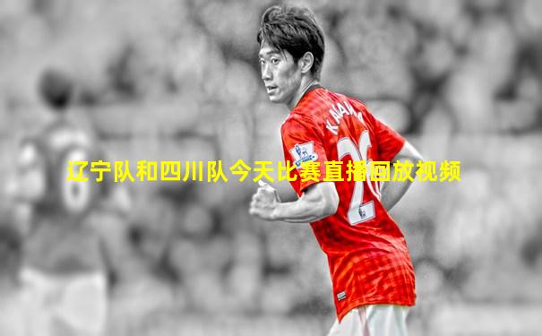 辽宁队和四川队今天比赛直播回放视频